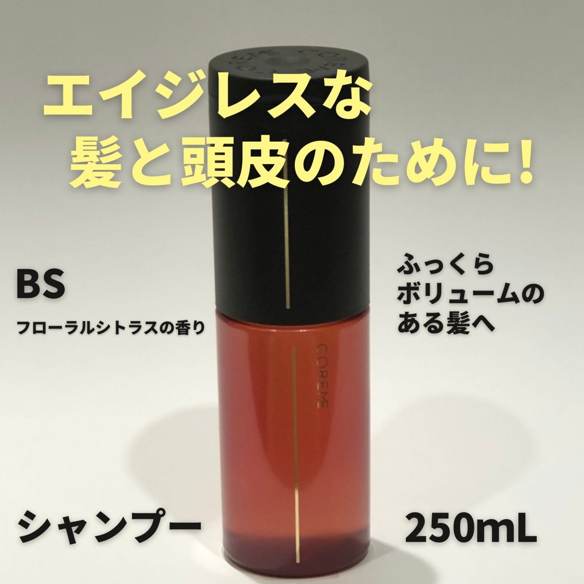 コアミー フィナジー BS シャンプー&トリートメント590ml - ヘアケア