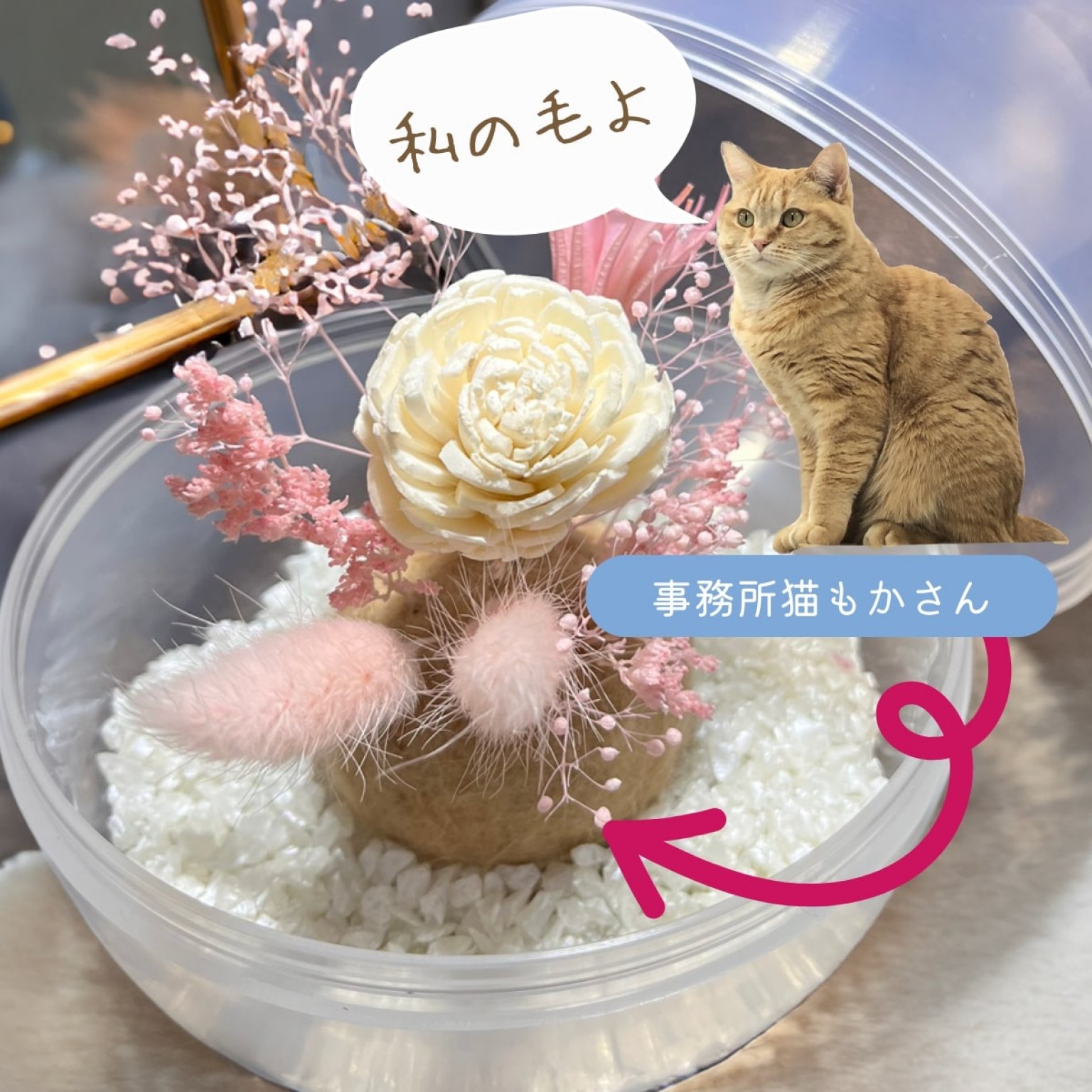 【ツギノテイベント限定】天使のたまご製作キット