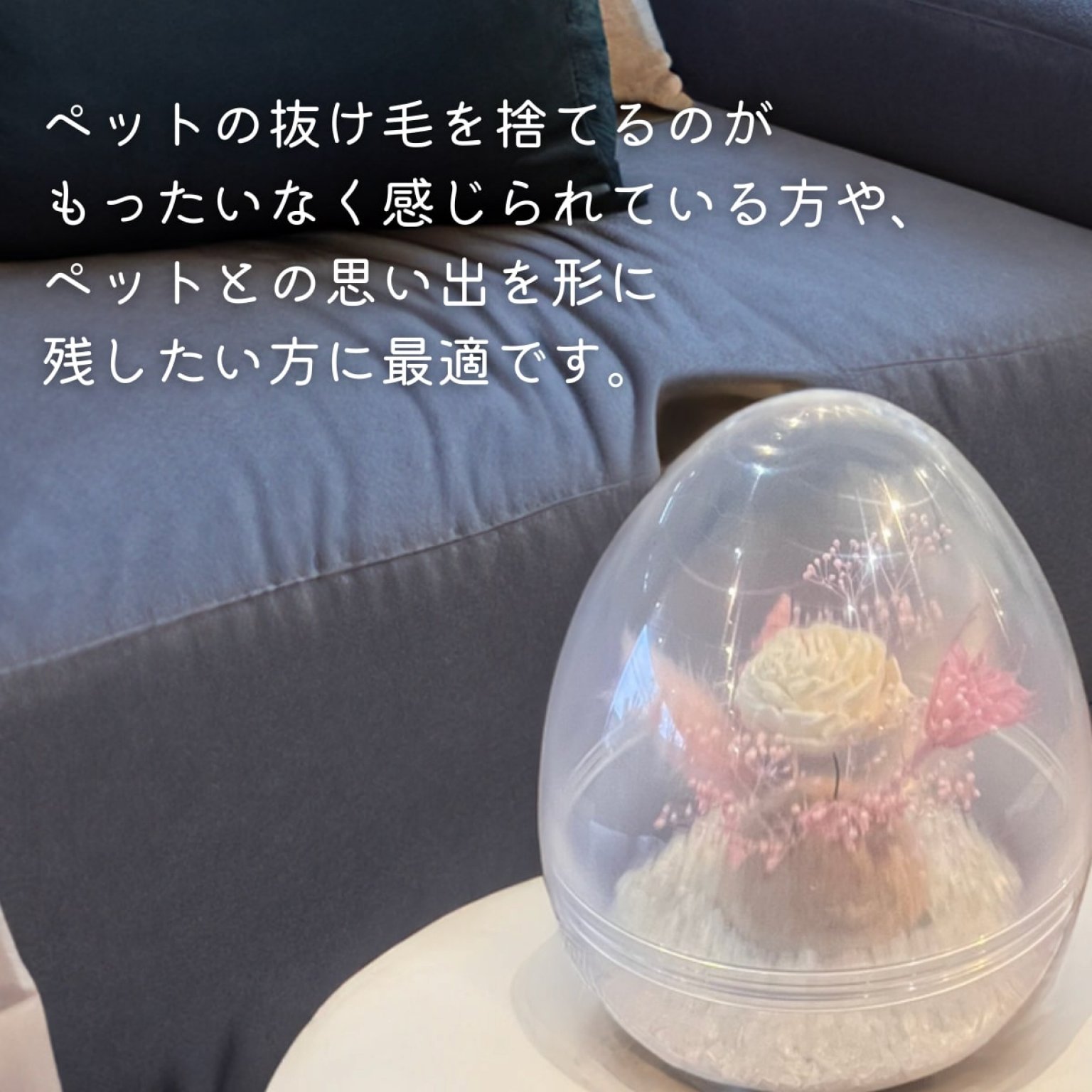 【ツギノテイベント限定】天使のたまご製作キット