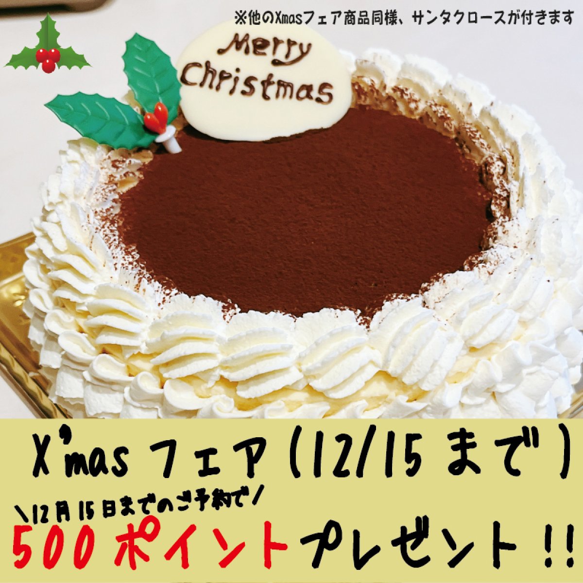 【X'mas】ケーキ仕立ての本格ティラミス 5号size　北海道産生クリームとマスカルポーネ使用！しっとり食感【冷凍全国発送】