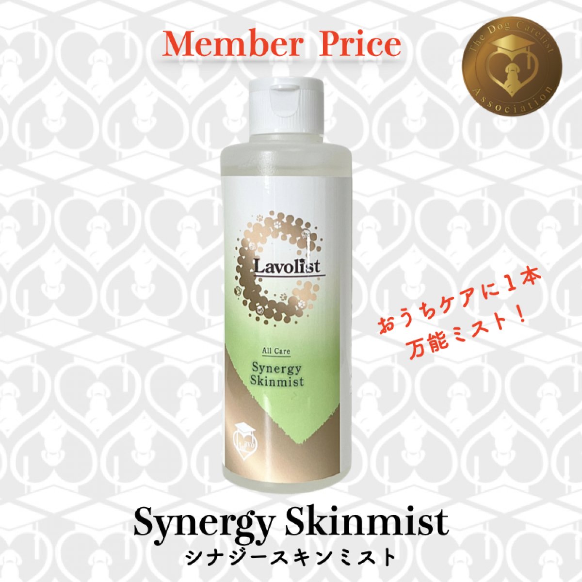 ［メンバープライス］日々のおうちケアに１本！超万能ミスト【Synergy Skinmist／シナジースキンミスト：200ml】