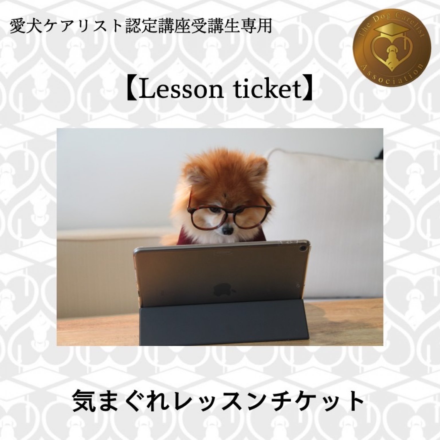 [Lesson ticket] 愛犬ケアリスト継続レッスンチケット／気まぐれレッスン