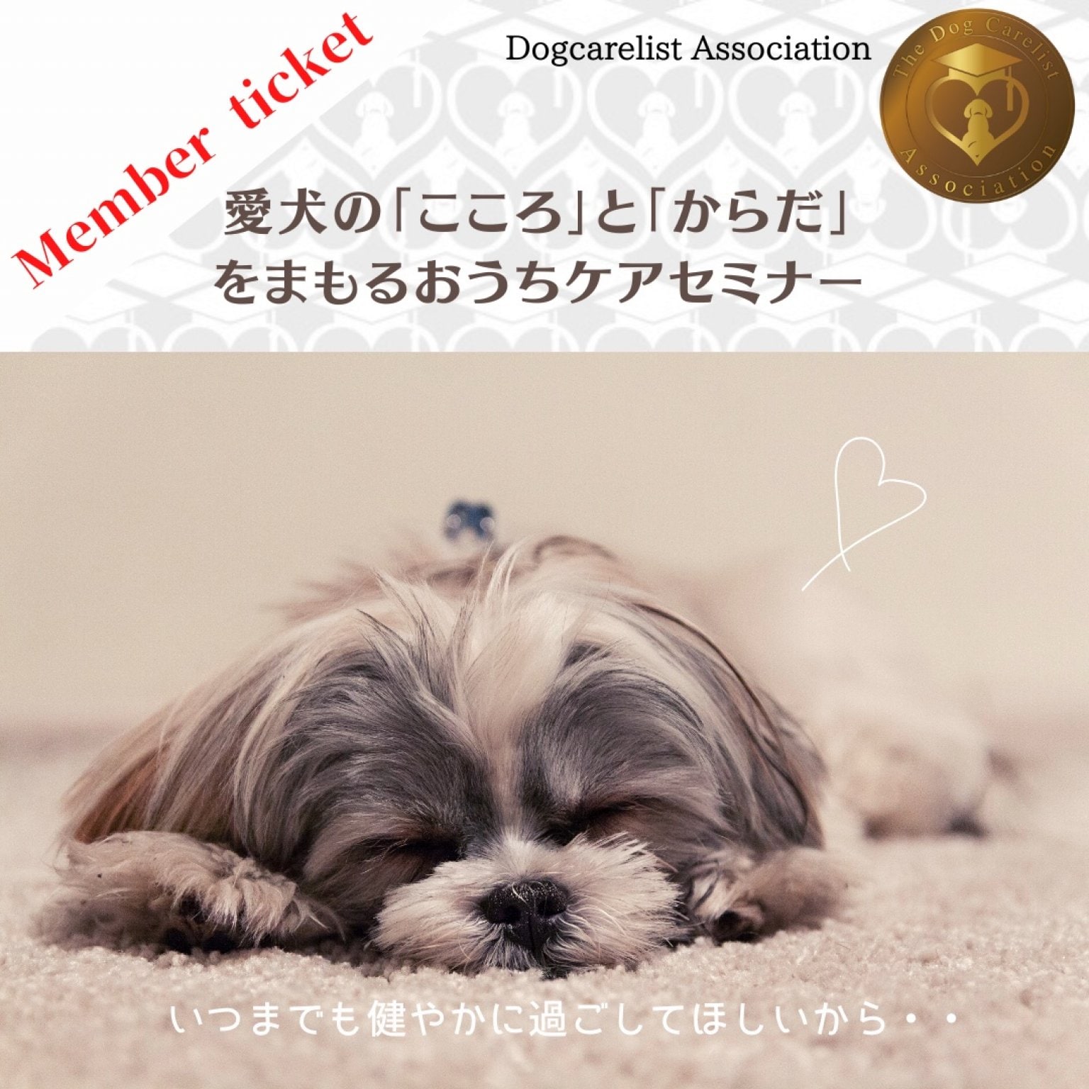 [メンバーチケット]2/22(木) ZOOM開催『愛犬の【こころ】と【からだ】の健康をまもるおうちケアセミナー』