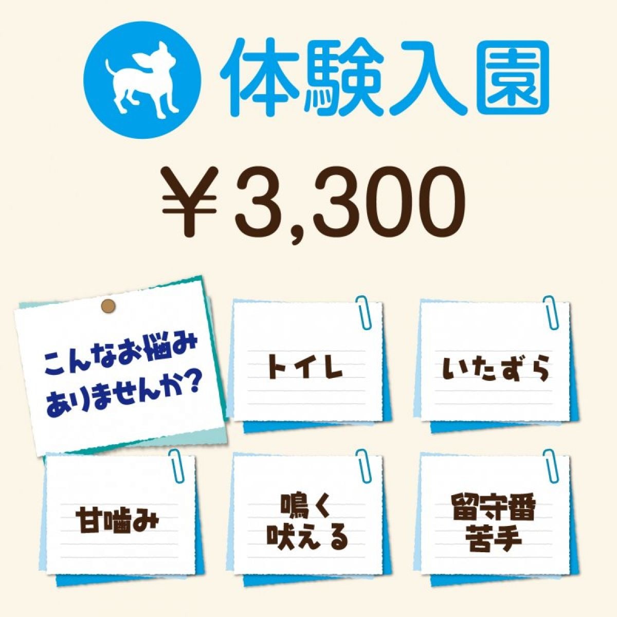 体験入園チケット【犬の保育園】￥3,300