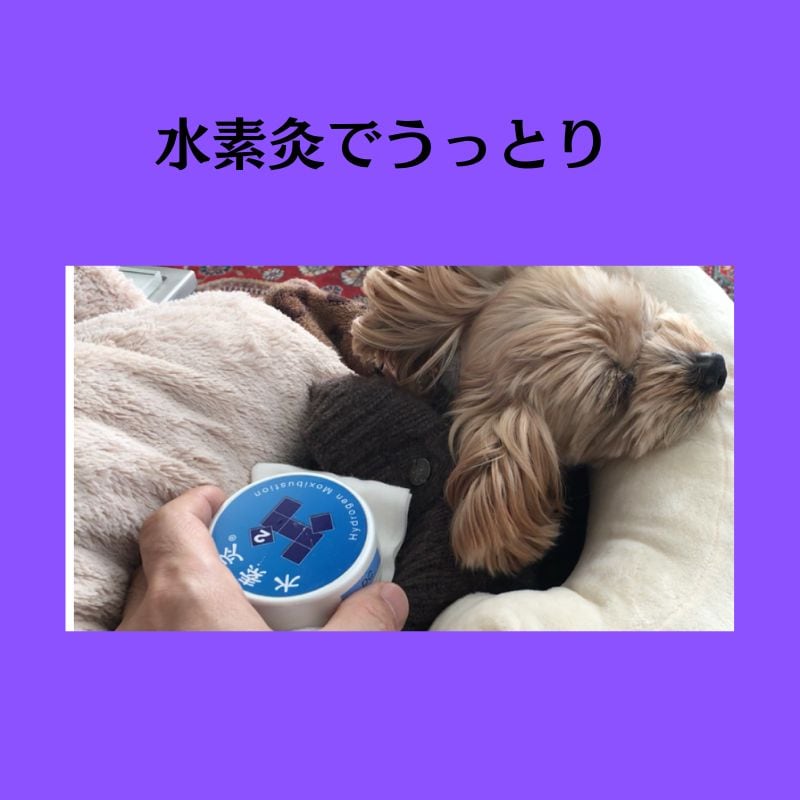 水素灸ミニセット