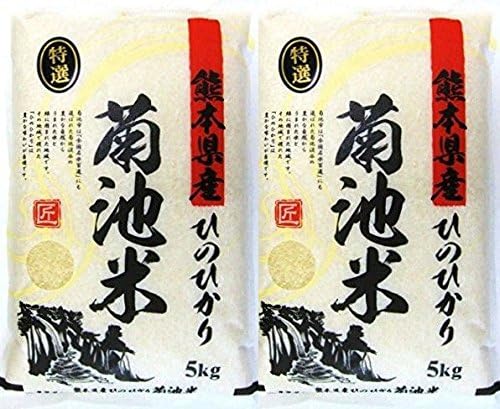 精白米 】 熊本県 菊池産 ヒノヒカリ 10kg( 5kg × 2袋 ) 11年