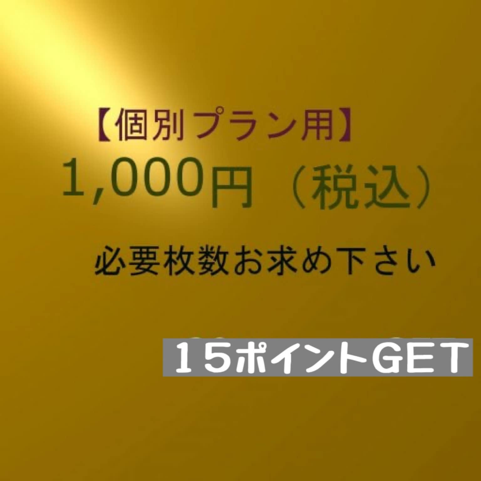 【現地払い専用】チケット