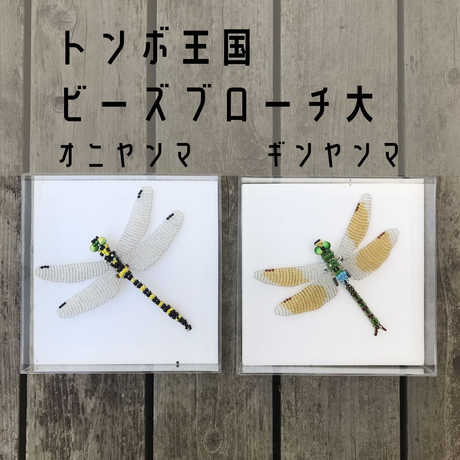 原色日本トンボ幼虫・成虫大図鑑 杉村光俊／石田昇三／小島圭三