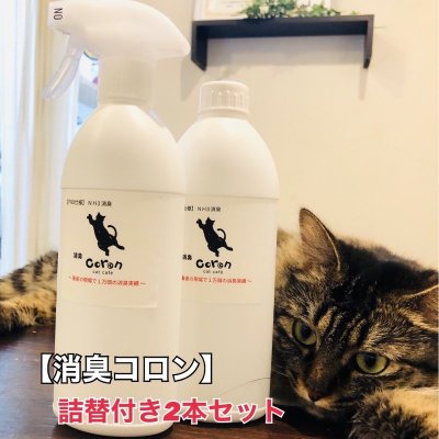 猫カフェコロン