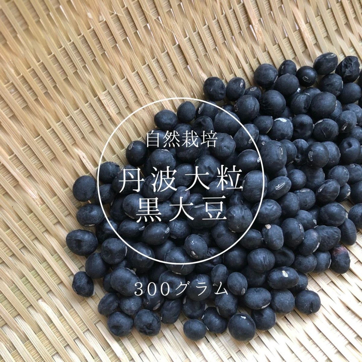 【送料無料】丹波大粒黒大豆 自然栽培 300グラム