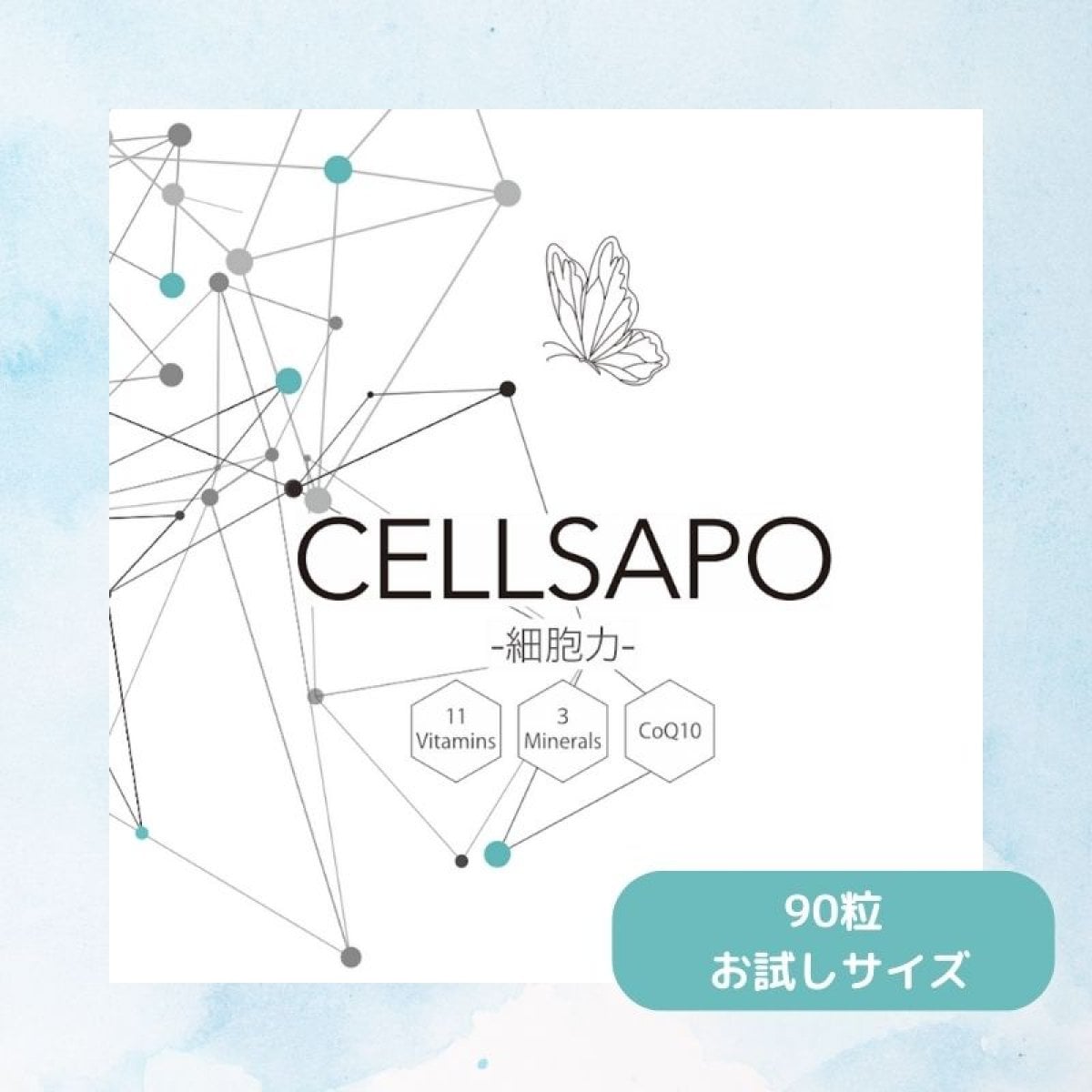 やさしい分子栄養学 やさしい分子栄養学 やさしい分子栄養学 やさしい分子栄養学