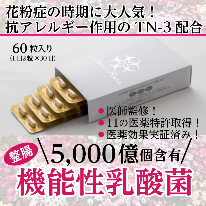花粉症の方にオススメ✨エルピュア乳酸菌××30包入3箱(約3ヶ月分) 久光製薬 乳酸菌(EC-12)30袋×3 約3か月分 サプリメント 顆粒