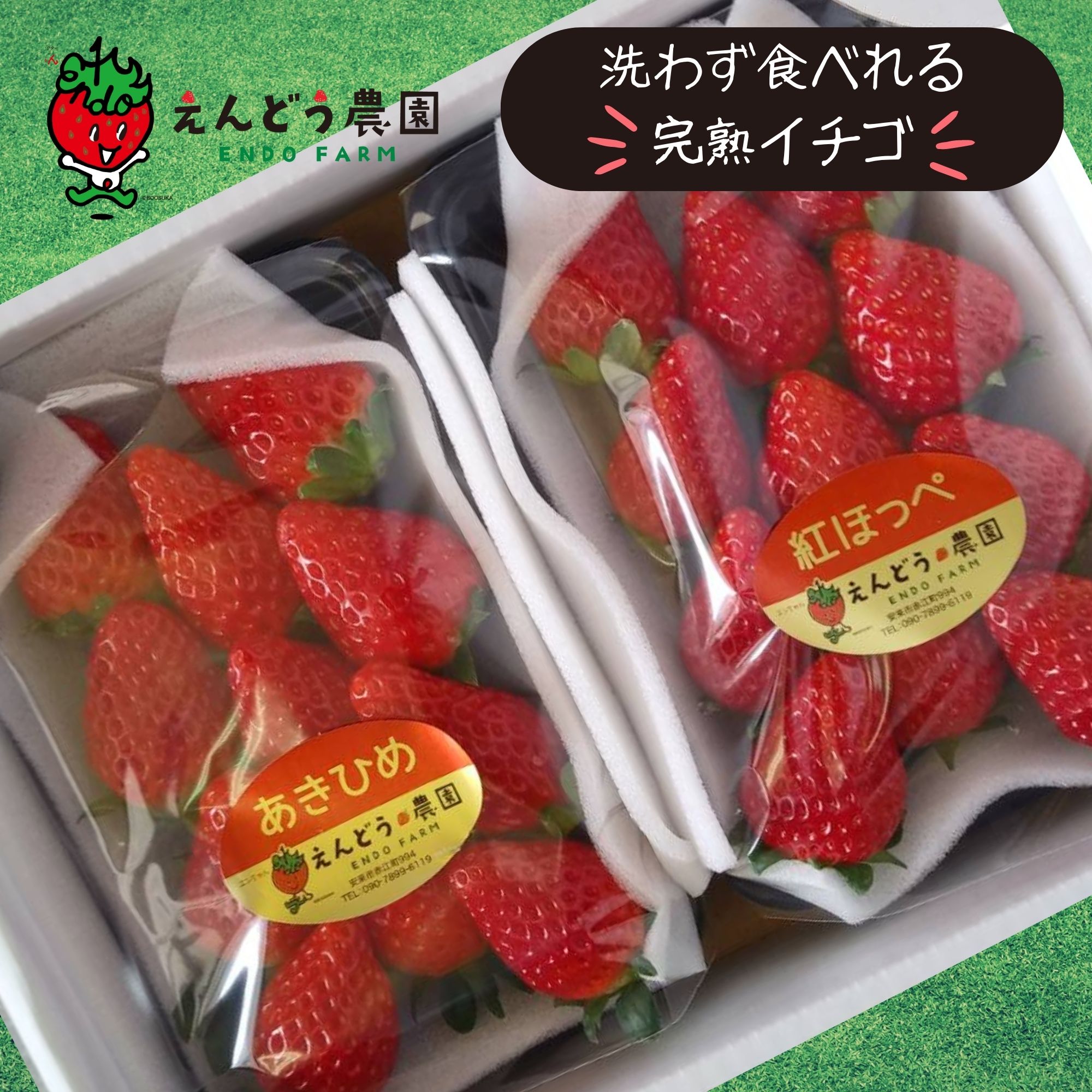 上等品なのにわけあり！【 松茸 1】岩手県産 270g 国産 クール便 送料