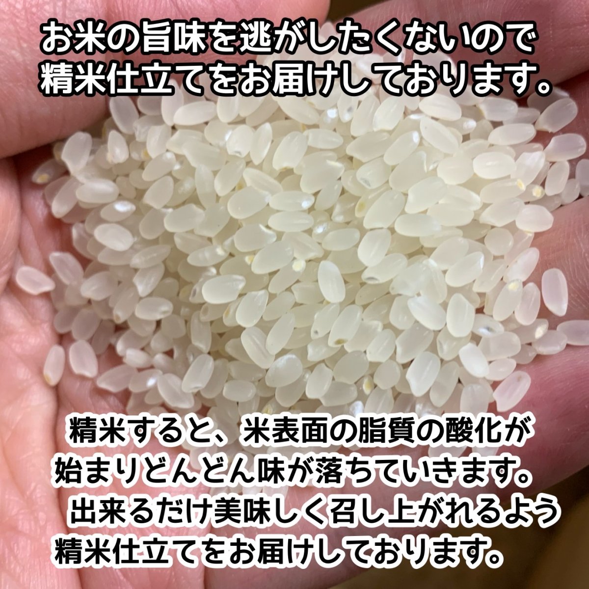 令和4年【新米】コシヒカリ玄米3kg1袋／自然還元農法／新潟南魚沼しおざわ産