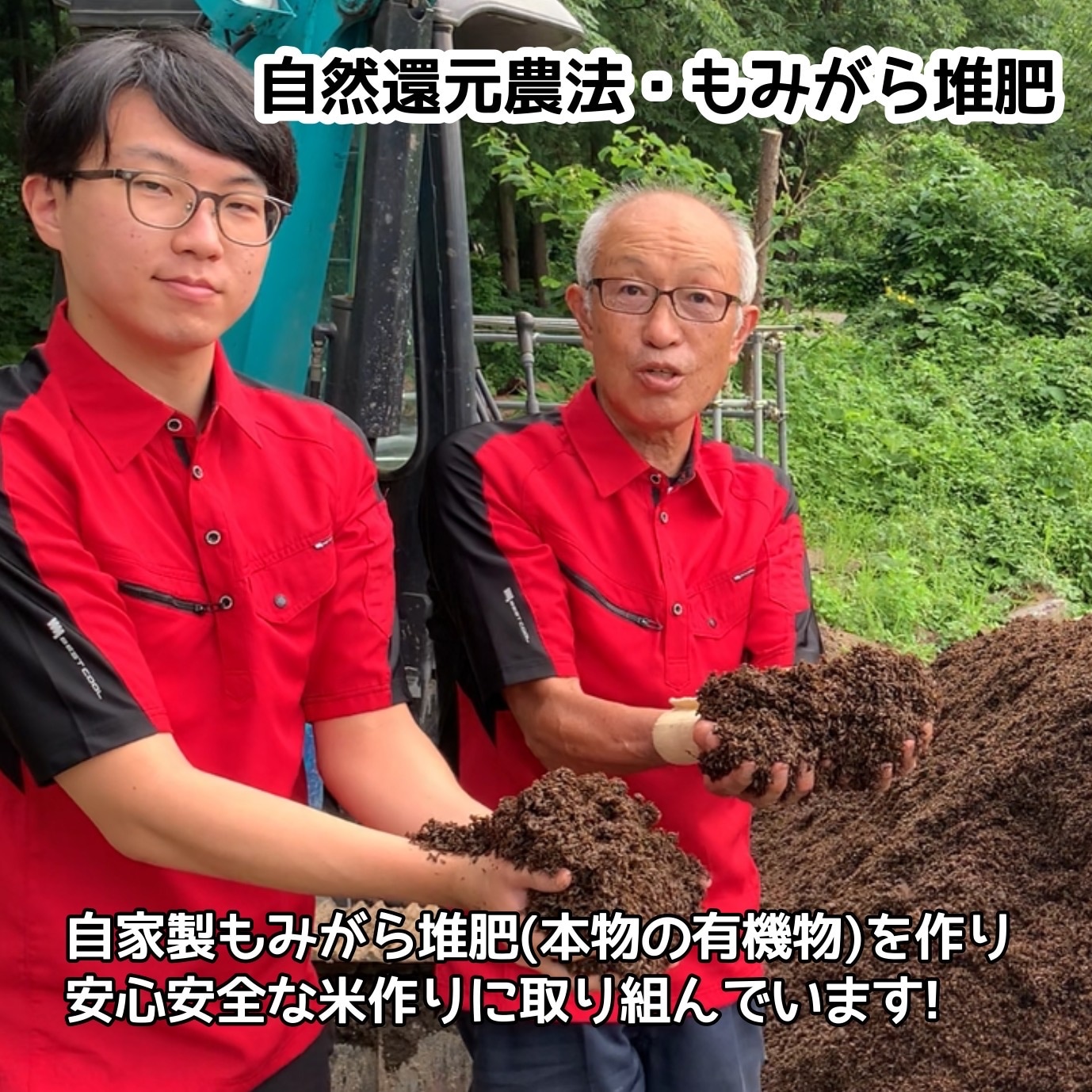 Y様限定/新潟南魚沼しおざわ産コシヒカリ5kg2袋/合計10㎏/白米 Y様限定/新潟南魚沼しおざわ産コシヒカリ5kg2袋/合計10㎏/白米