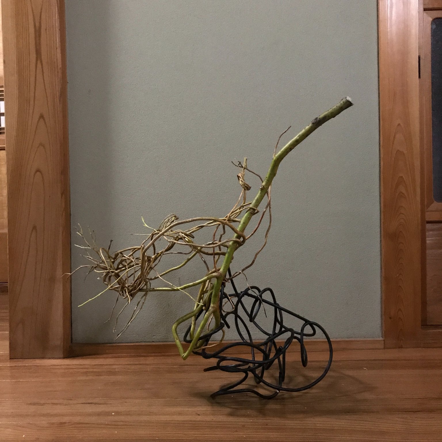 花トレ体験　１回券　オンライン編