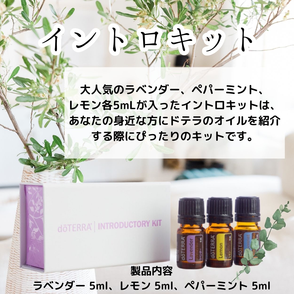 doTERRA ペパーミント エッセンシャルオイル - エッセンシャルオイル