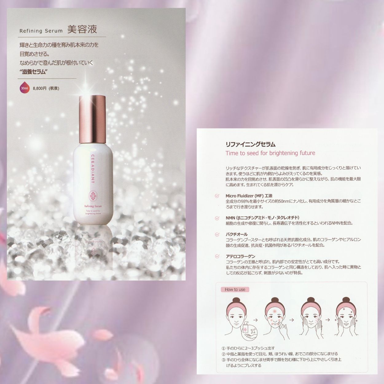 センティナシリーズMSE 基礎化粧水乳液スキンケアまとめ売り　化粧水 センティナシリーズMSE 基礎化粧水乳液スキンケアまとめ売り