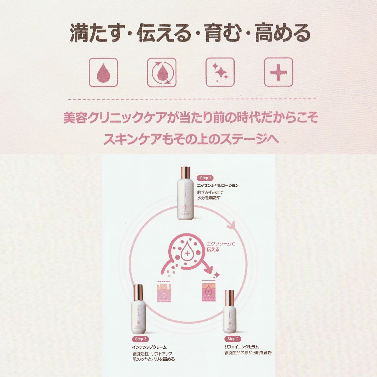 CELLADiANT エッセンシャルローション 100ml CELLADiANT【公式】日本企画・韓国製造 エッセンシャル