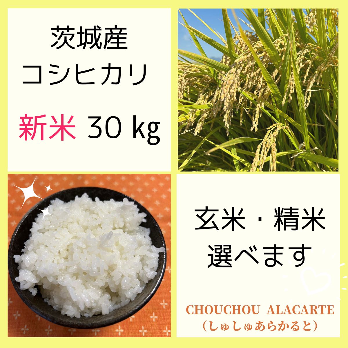 高ポイント還元】茨城産コシヒカリ 30㎏（新米）玄米/精米 選べます