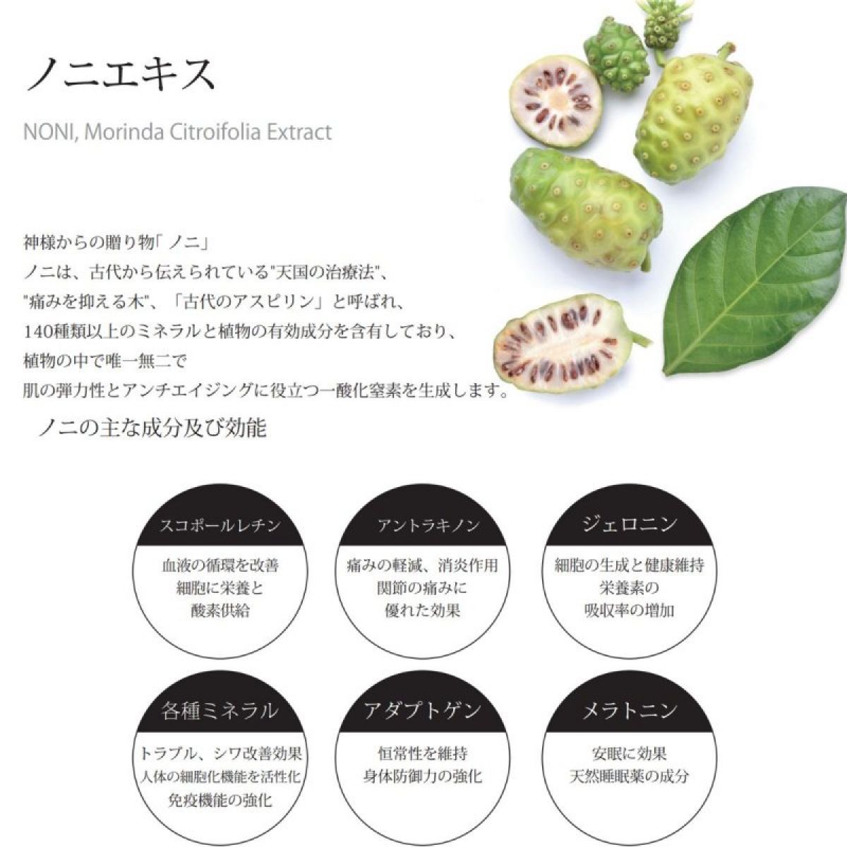 V ファーミングセルクリーム 50g 高濃度美容成分配合クリーム