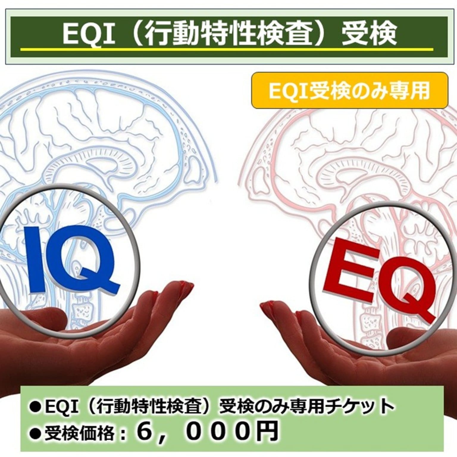 EQI（行動特性検査）受検