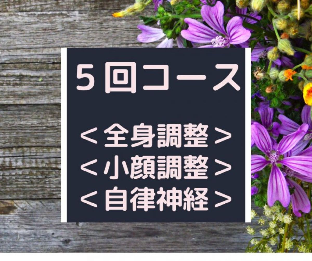 整体　＜５回コース＞