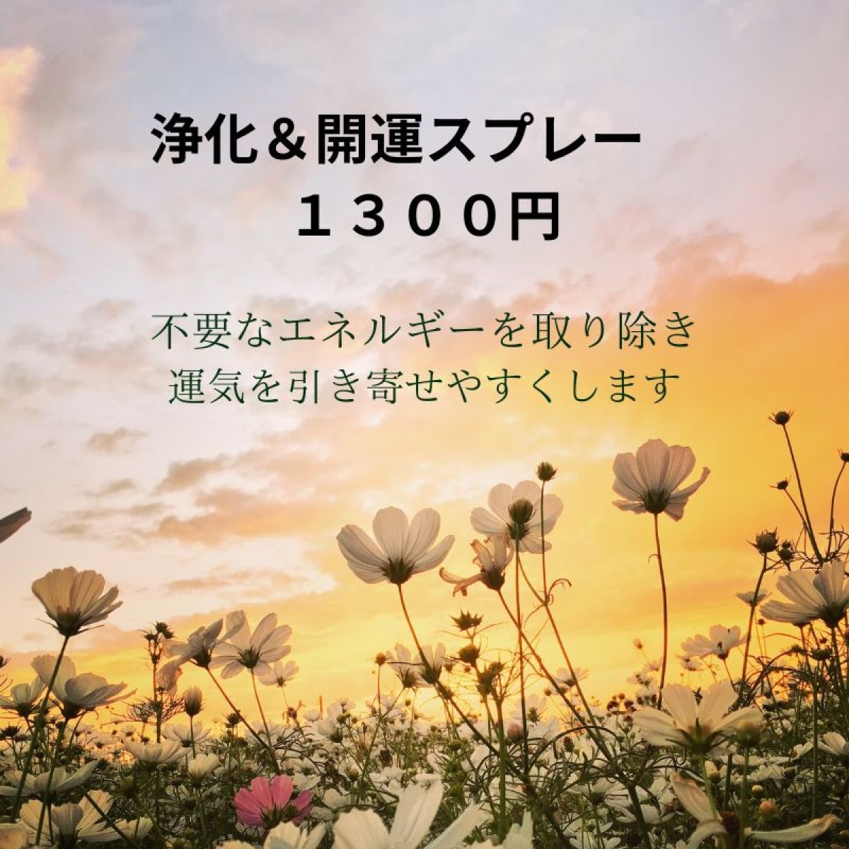 浄化＆開運スプレー １０ml 玄関に１プッシュするだけで浄化され、良い運気が舞い込んできます。芳香 剤・除菌の代わりにもお使いいただけます。無添加天然アロマ使用