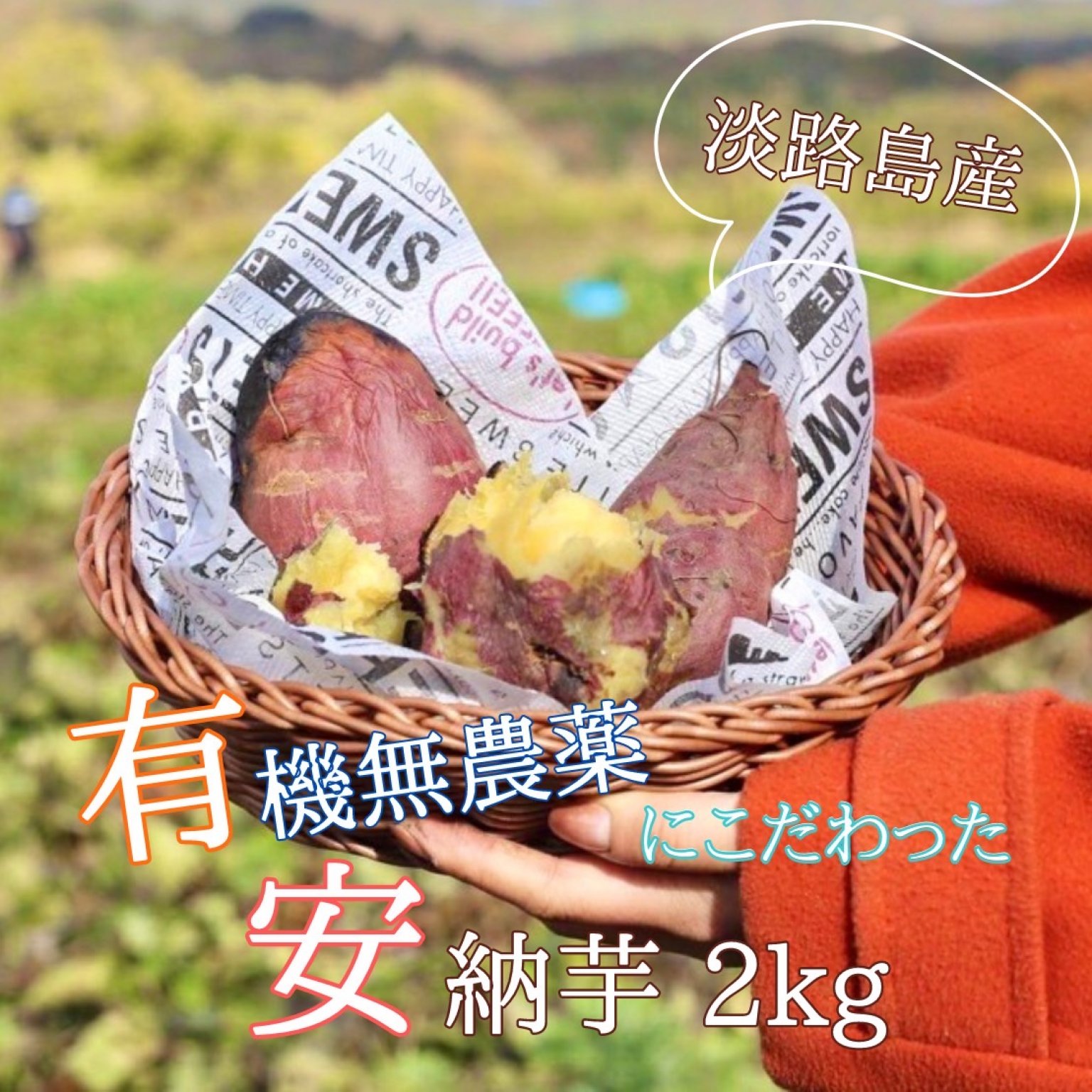 【産地直送】安納芋（淡路島産）土付き　約2kg　不揃い【有機無農薬栽培】送料無料