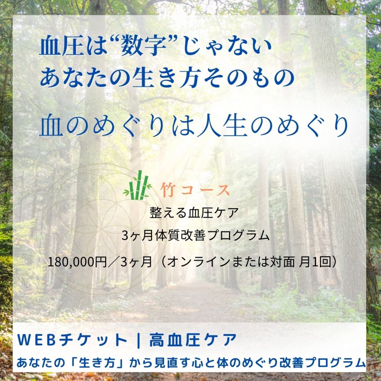 【竹コース】整える血圧ケア｜3ヶ月体質改善プログラム