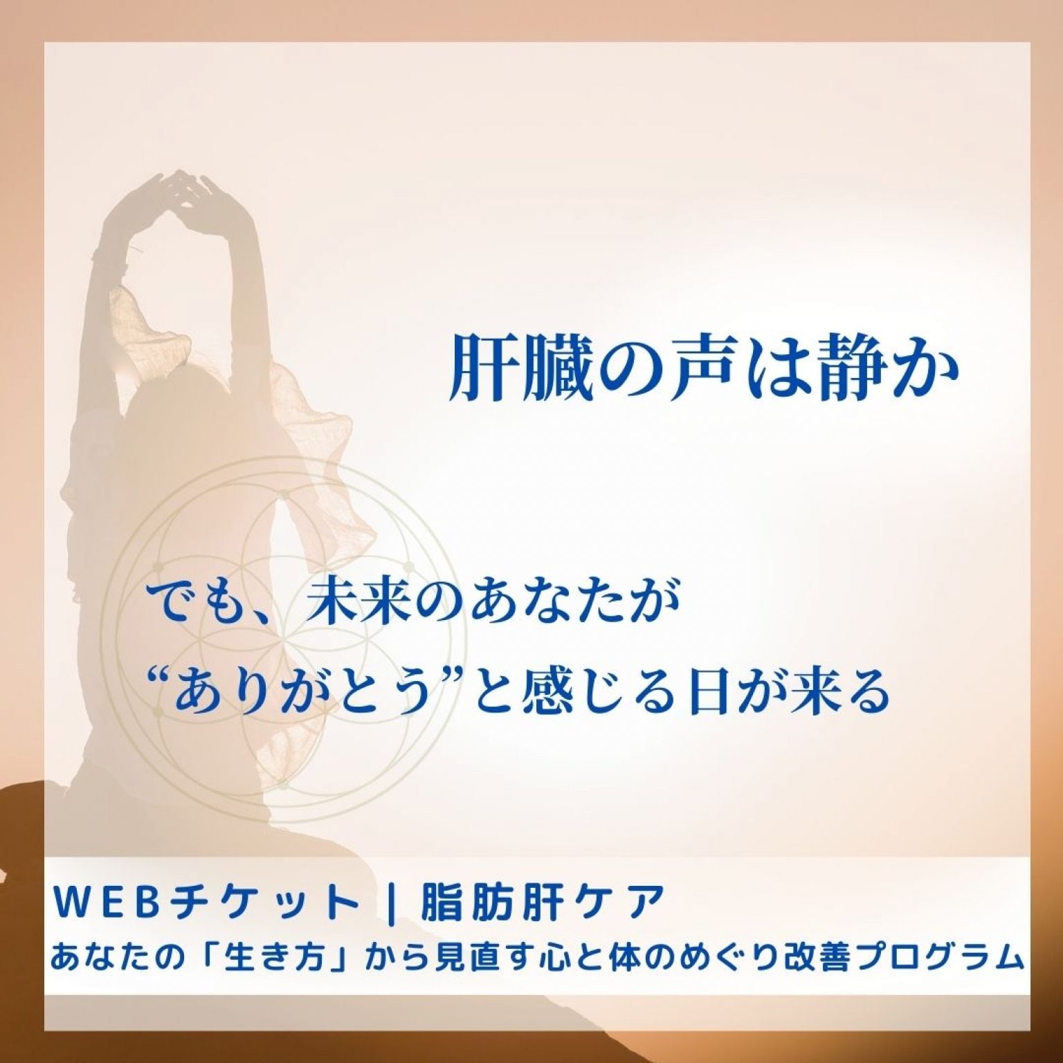 【松コース】沈黙の臓器と“生き方”を整える｜6ヶ月本質ケア