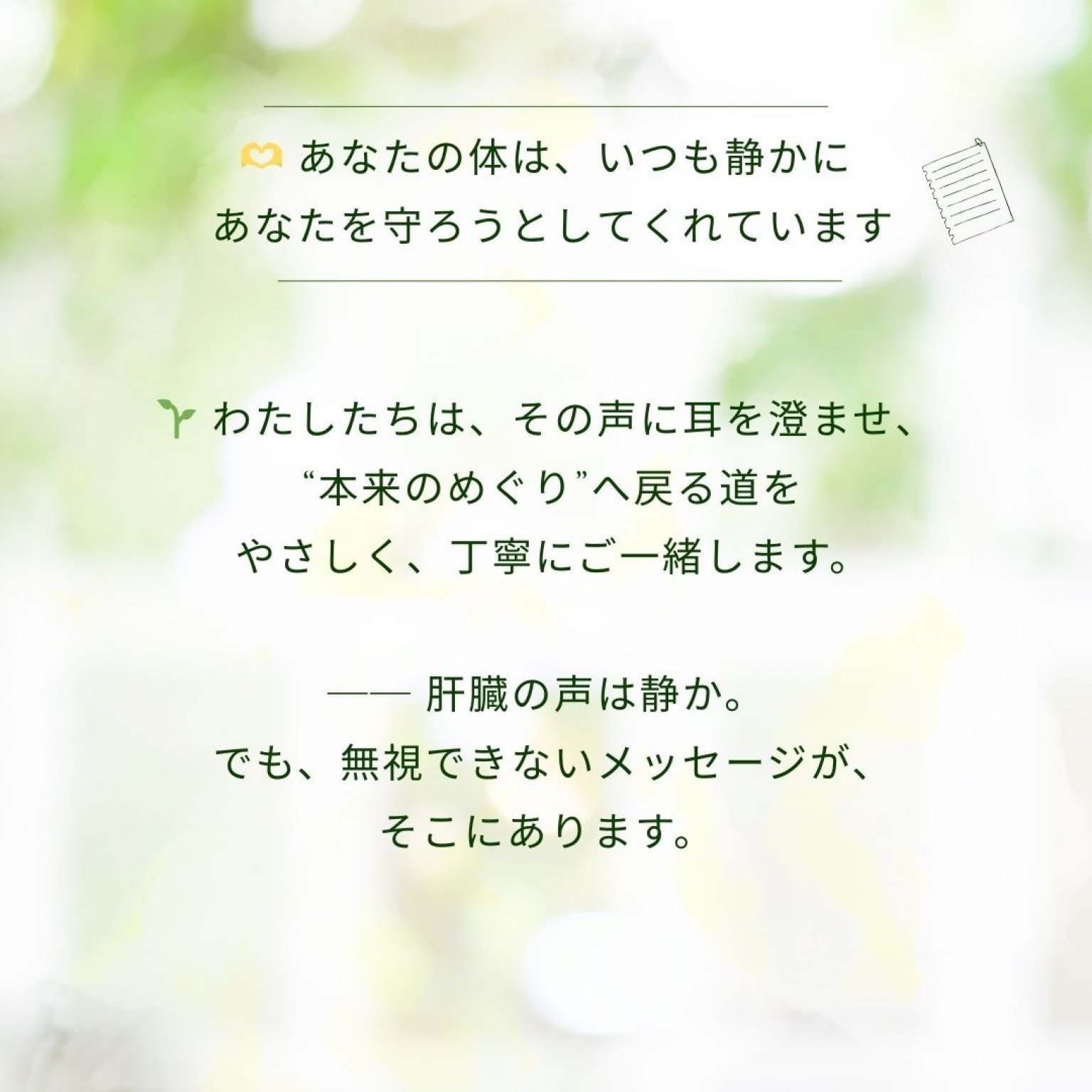 【松コース】沈黙の臓器と“生き方”を整える｜6ヶ月本質ケア