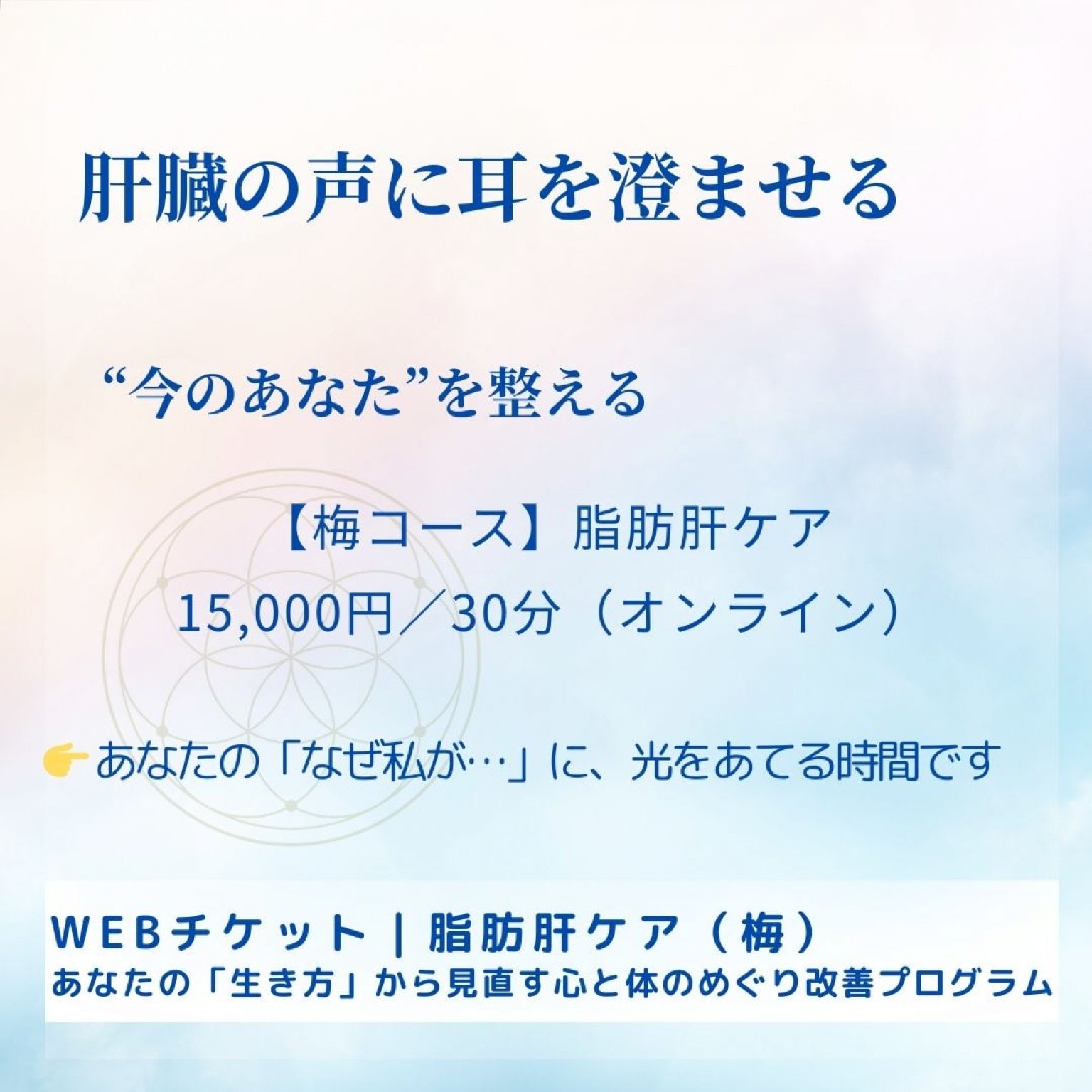 【梅コース】肝臓の声を聴く 単発セッション（30分） 