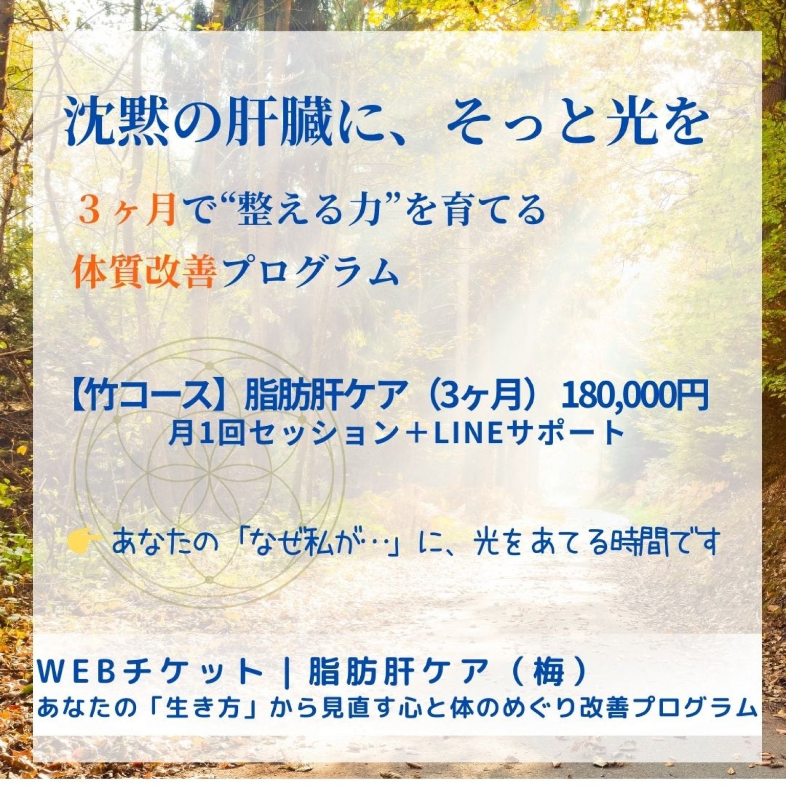 【竹コース】3ヶ月で、体と感情の“滞り”をやさしく整える体質改善