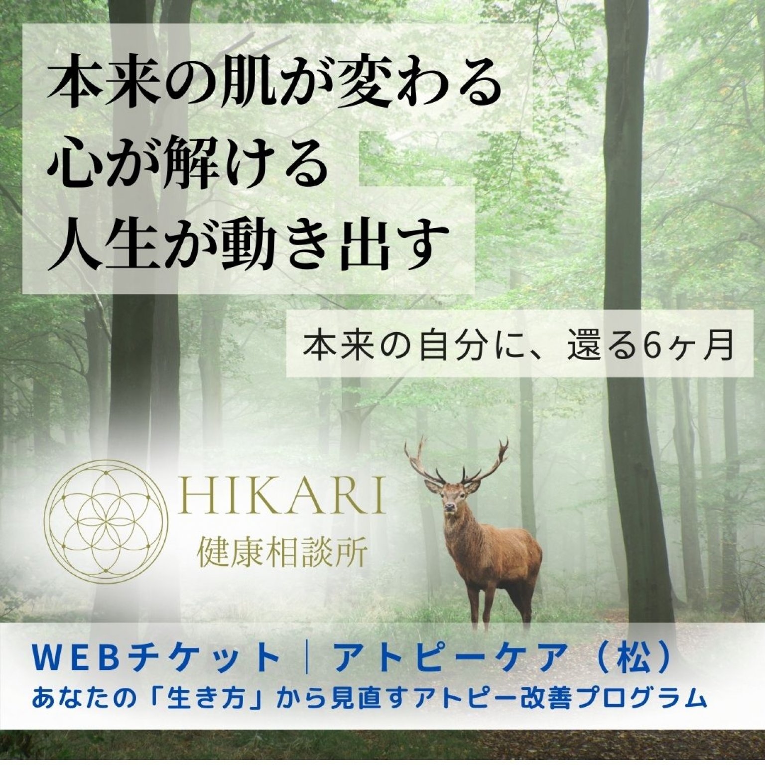 【松コース】アトピー・敏感肌のための本質ケアプログラム｜肌と心と人生をまるごと整える6ヶ月サポート