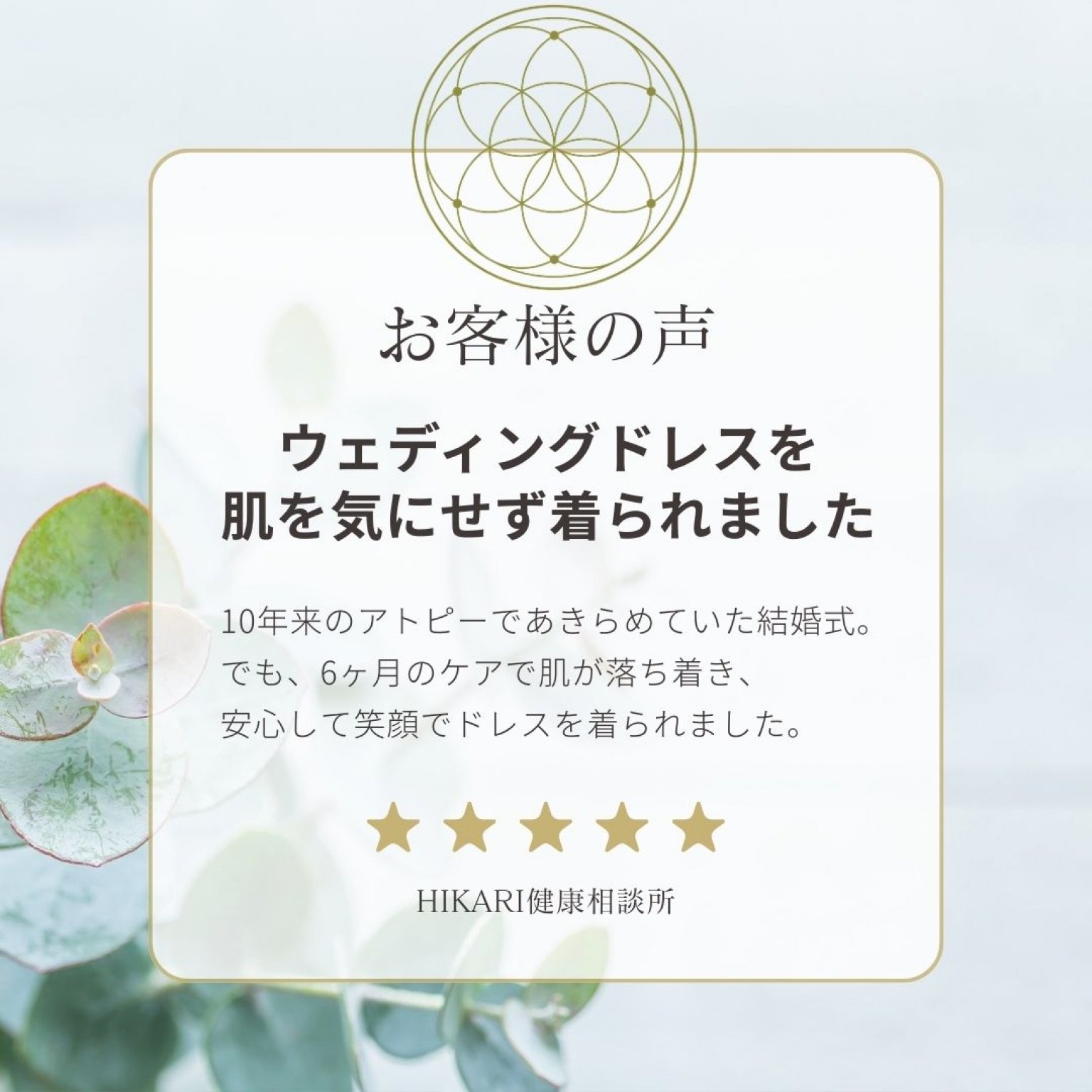【松コース】アトピー・敏感肌のための本質ケアプログラム｜肌と心と人生をまるごと整える6ヶ月サポート