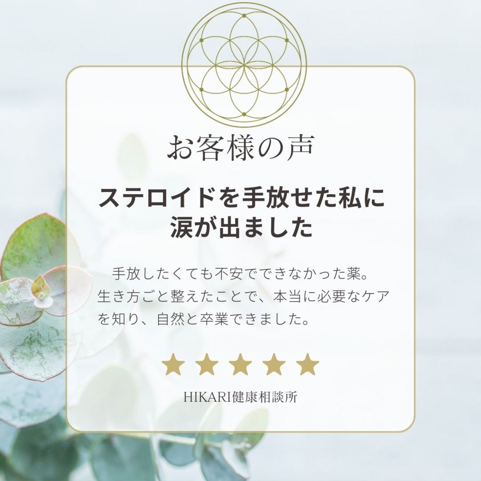 【松コース】アトピー・敏感肌のための本質ケアプログラム｜肌と心と人生をまるごと整える6ヶ月サポート