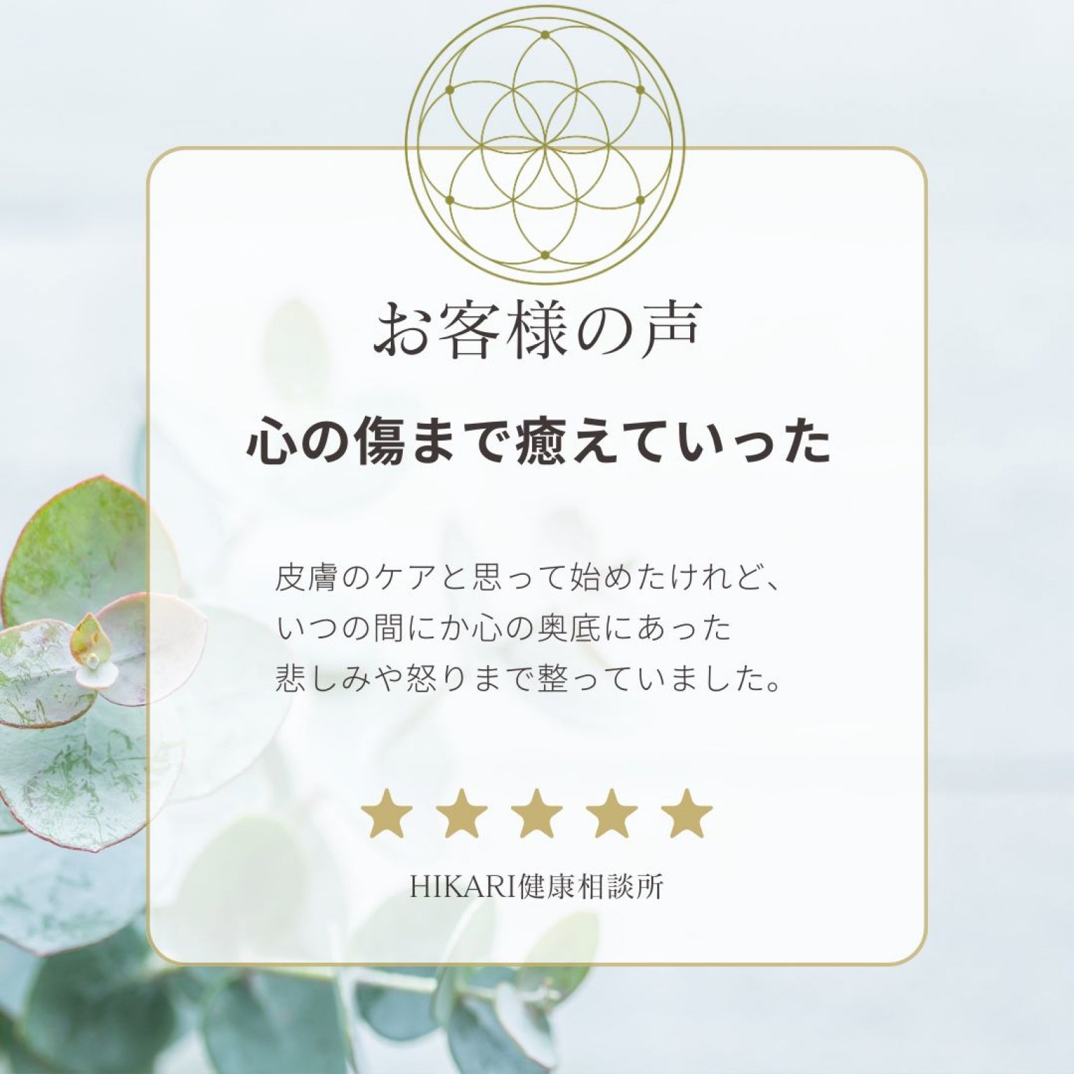【松コース】アトピー・敏感肌のための本質ケアプログラム｜肌と心と人生をまるごと整える6ヶ月サポート