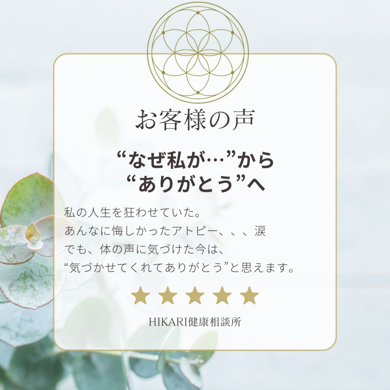 【松コース】アトピー・敏感肌のための本質ケアプログラム｜肌と心と人生をまるごと整える6ヶ月サポート