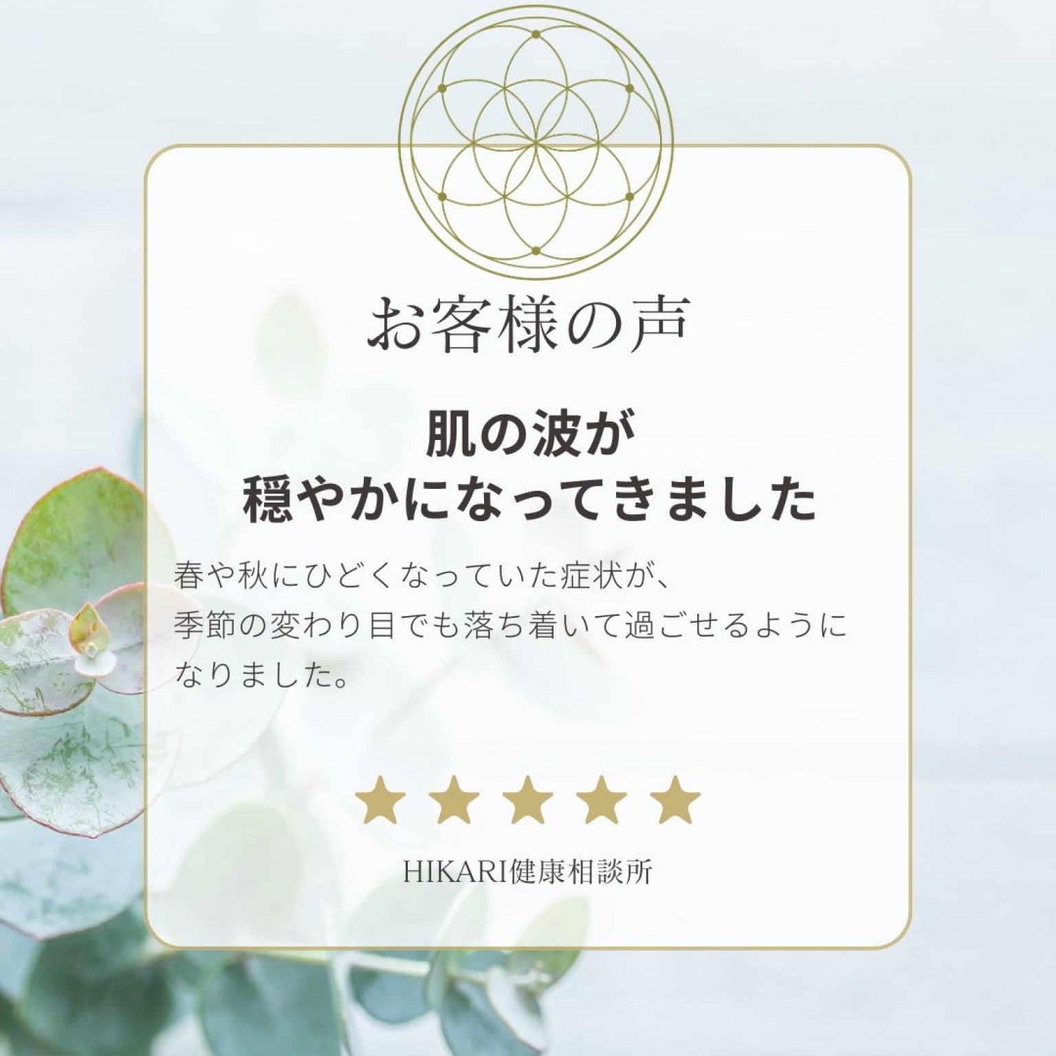 【竹コース】アトピー・敏感肌のための整え直し3ヶ月プログラム｜肌・感情・習慣の“バランス”を育てる自然療法ケア