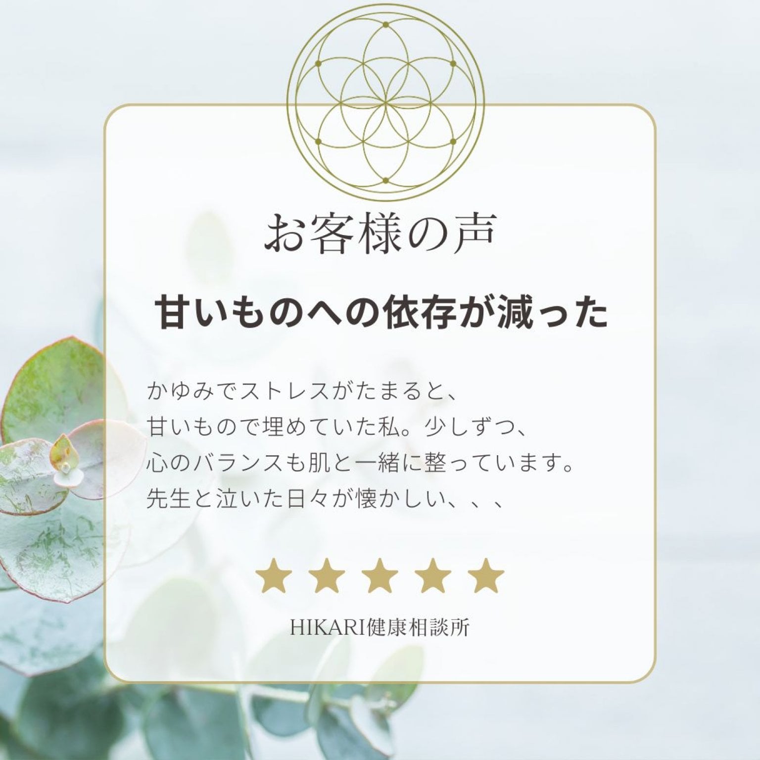 【竹コース】アトピー・敏感肌のための整え直し3ヶ月プログラム｜肌・感情・習慣の“バランス”を育てる自然療法ケア