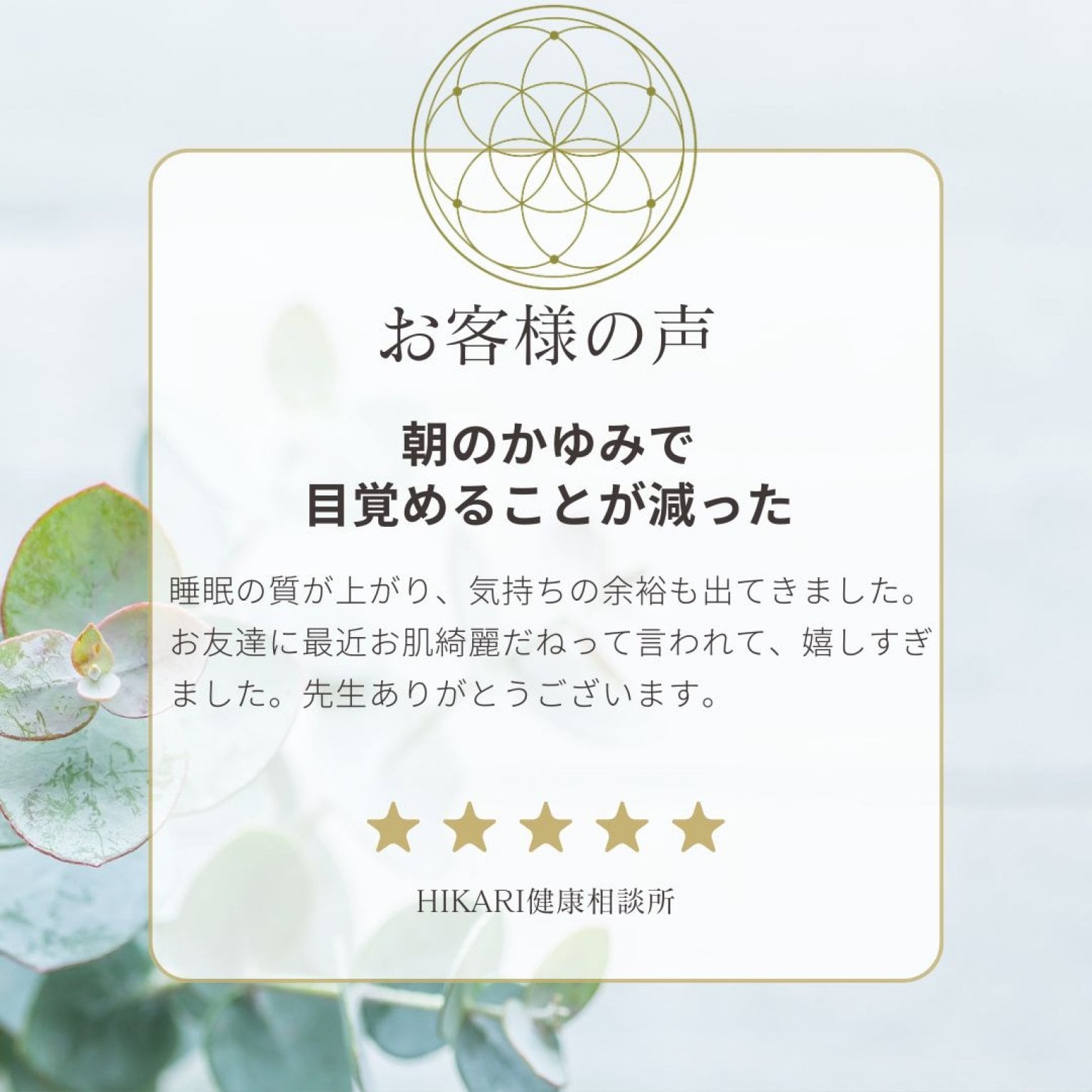 【竹コース】アトピー・敏感肌のための整え直し3ヶ月プログラム｜肌・感情・習慣の“バランス”を育てる自然療法ケア