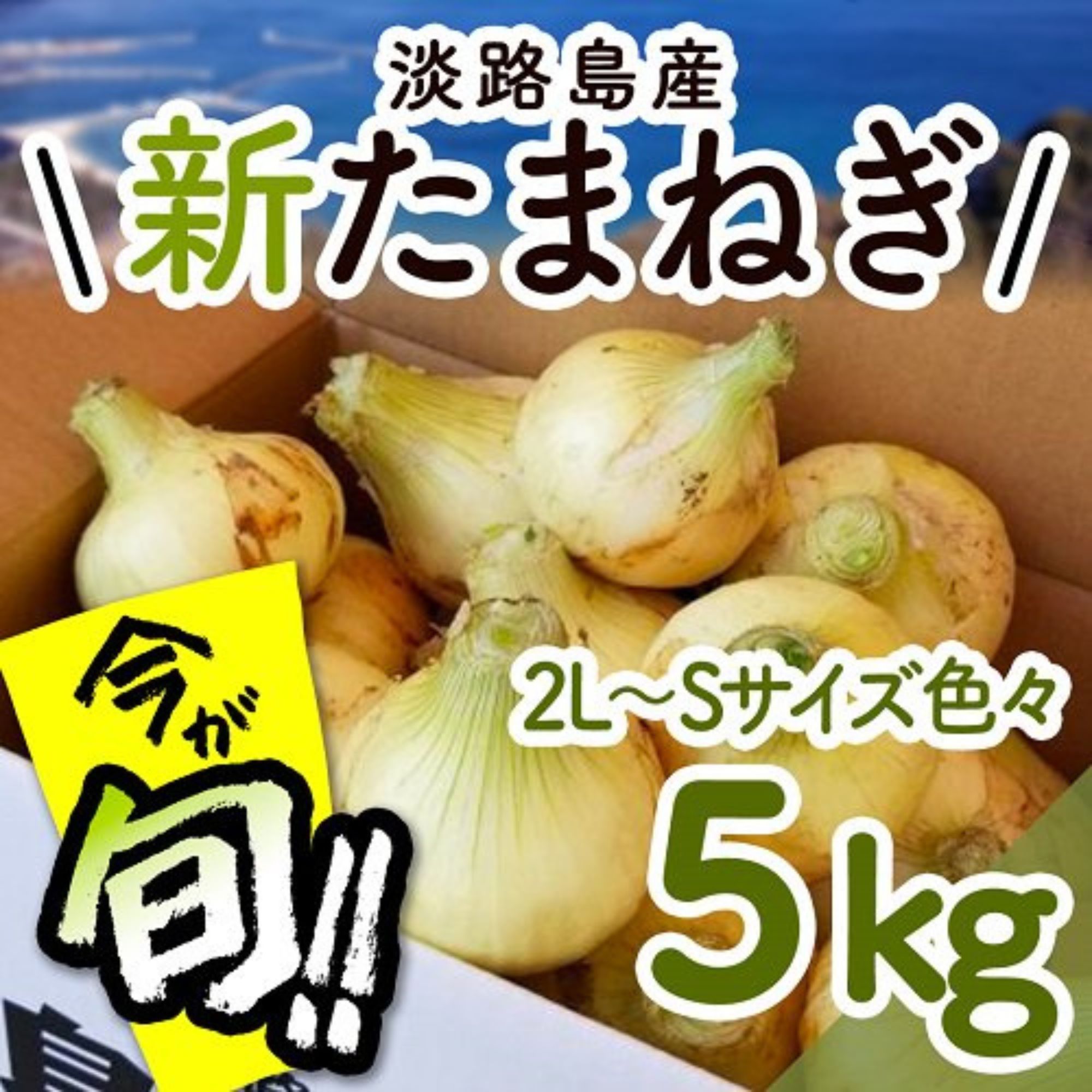 にんにく5Kg  S