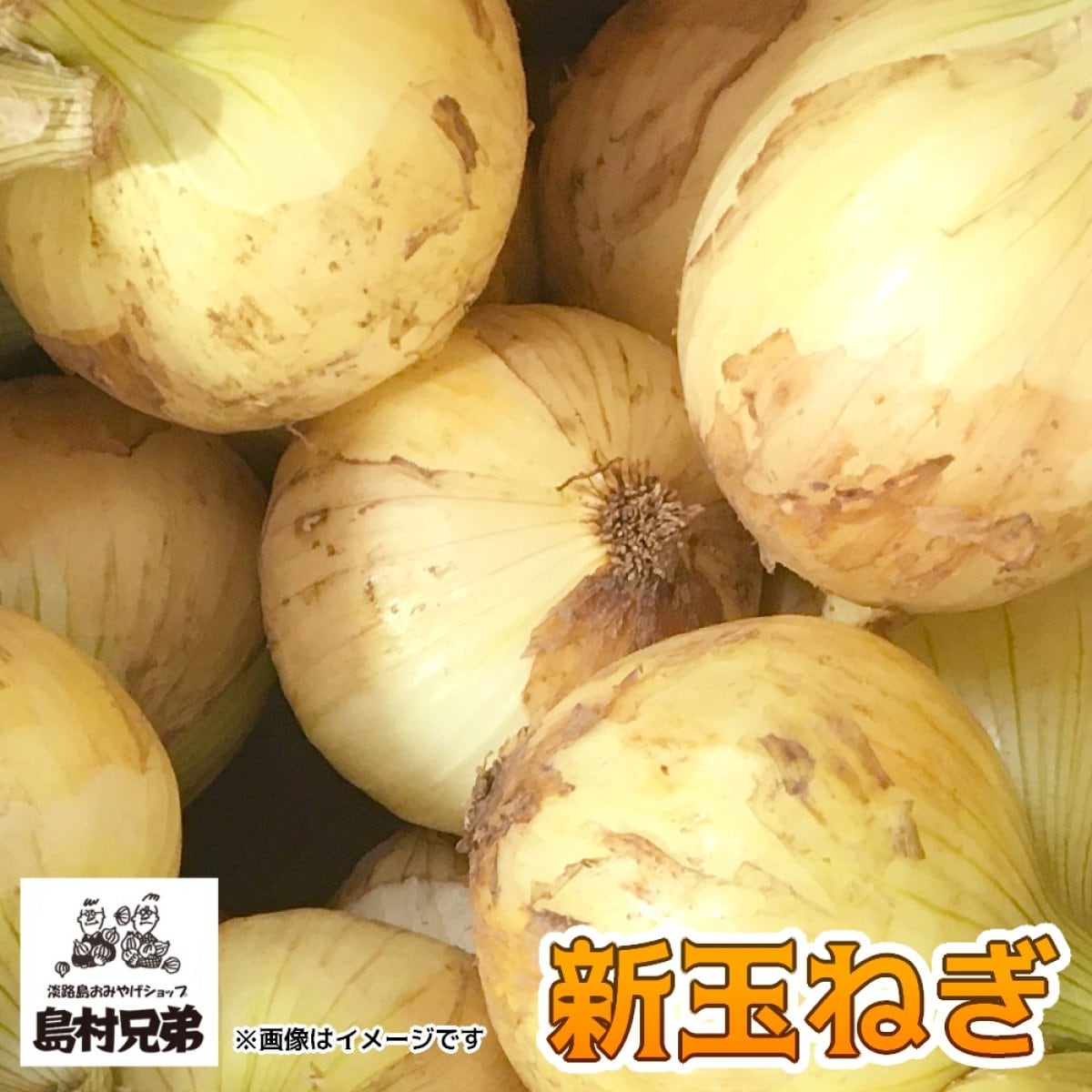 れんれん様用＜誕生日感謝＞淡路島産 新玉ねぎ 浜笑10kg×2箱 高糖度 新たま 楽天市場】”兵庫県 淡路島産 新たまねぎ” 訳あり 約10kg【予約 4
