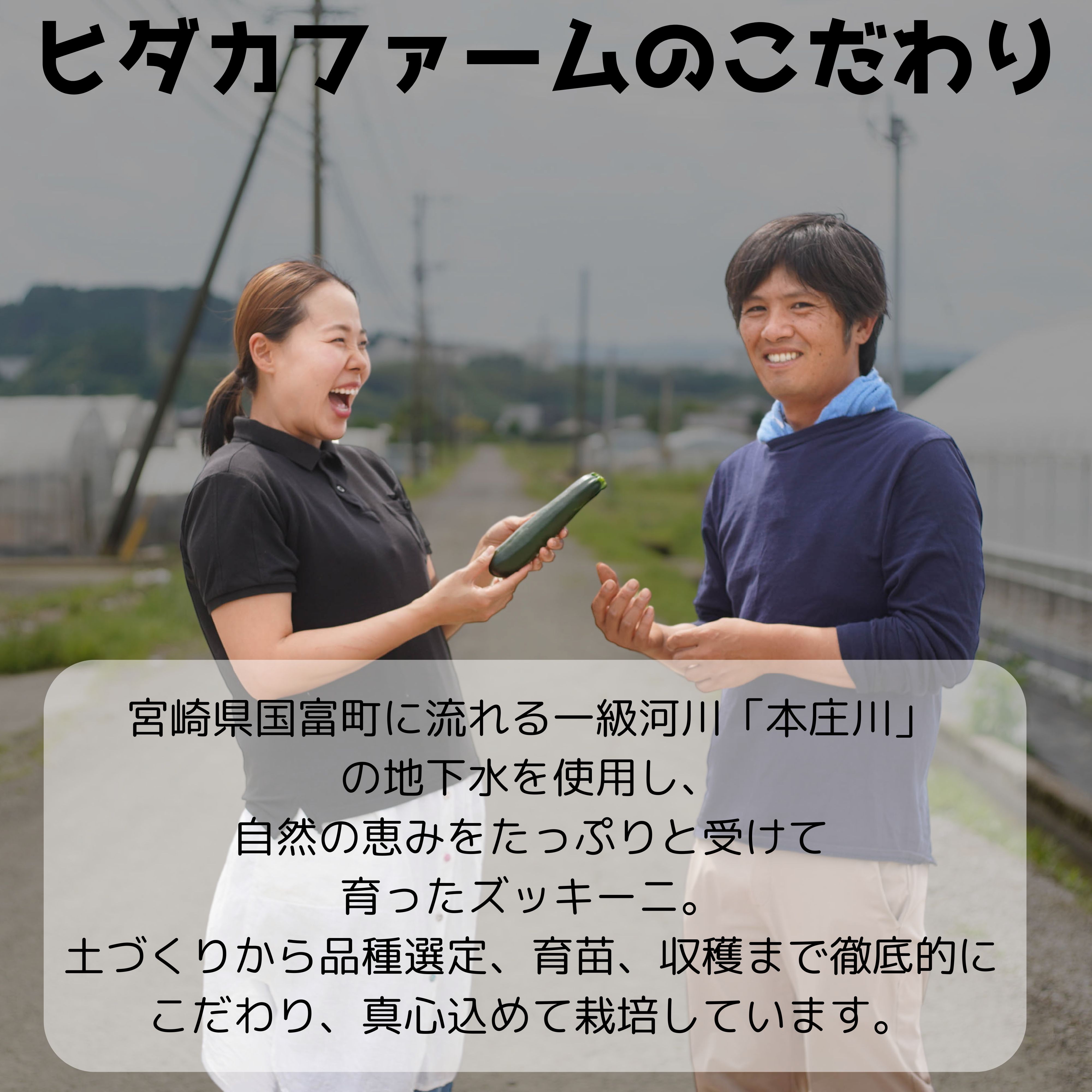 送料無料】2キロ 約10本入り【あなたにズッキーニ】 ほんのり