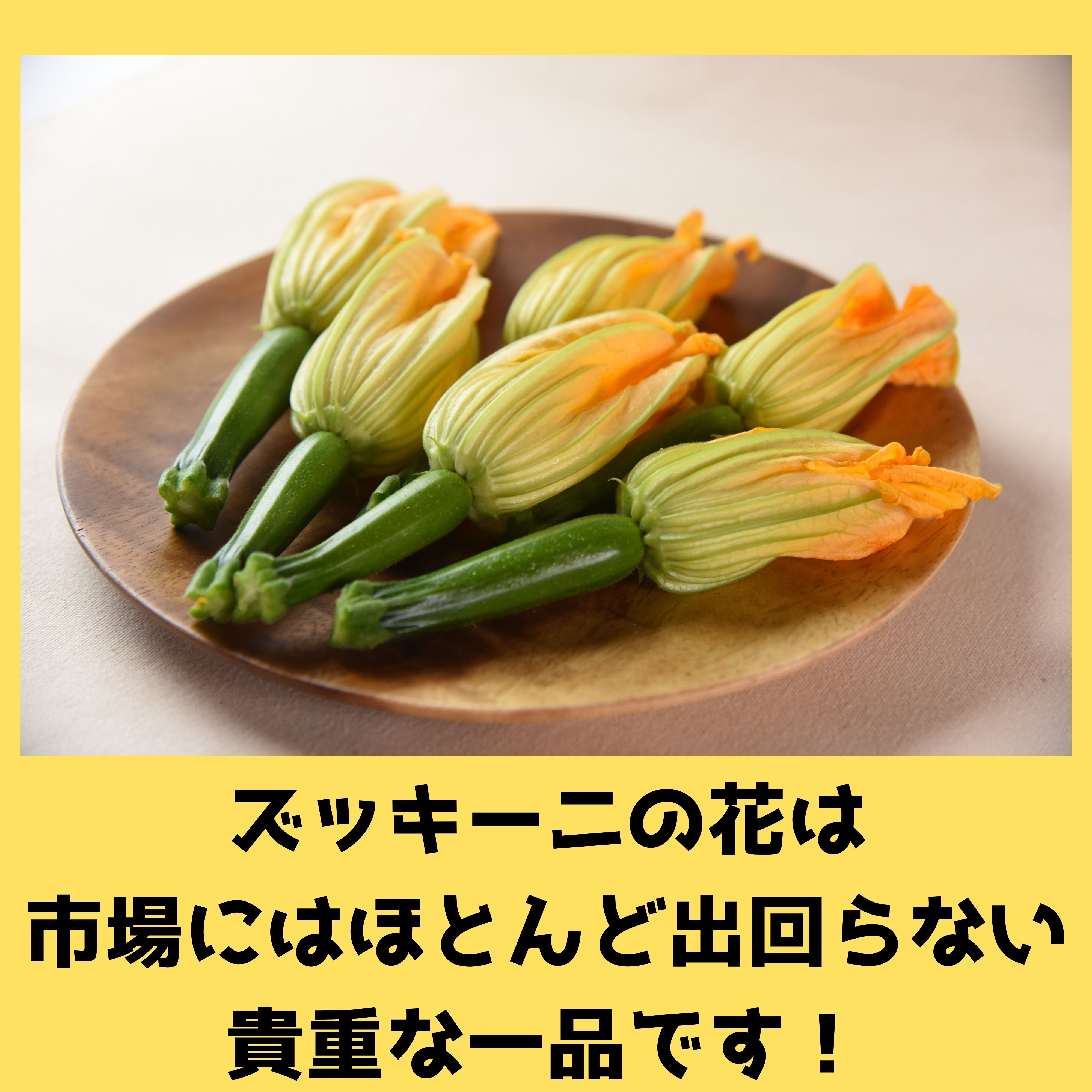ぷてくん　宮崎産★新鮮ズッキーニ　8キロ ぷてくん 宮崎産☆新鮮ズッキーニ 8キロ Amazon.co.jp: 宮崎県産