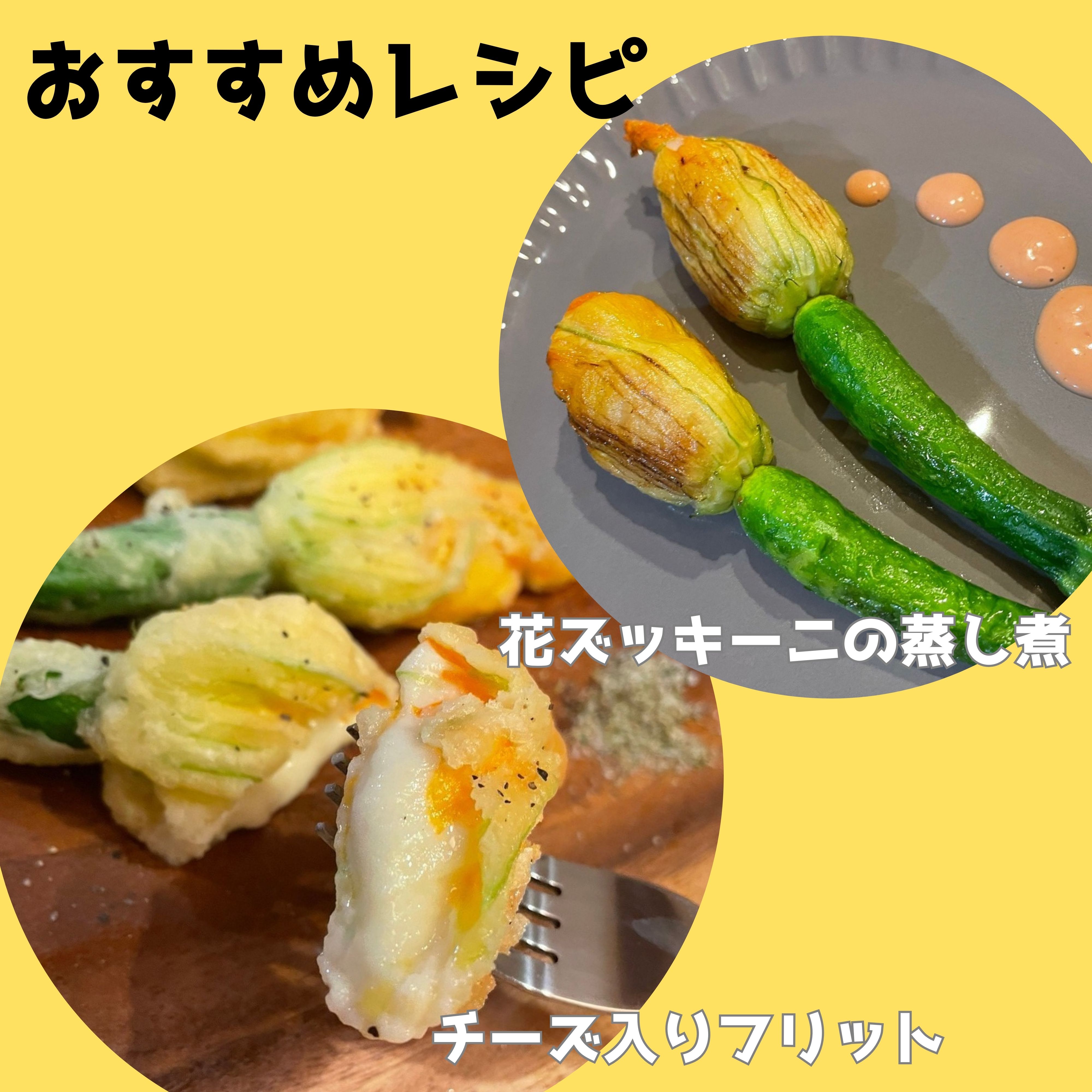 送料無料】花ズッキーニ(8本入り)あなたにズッキーニ 宮崎産