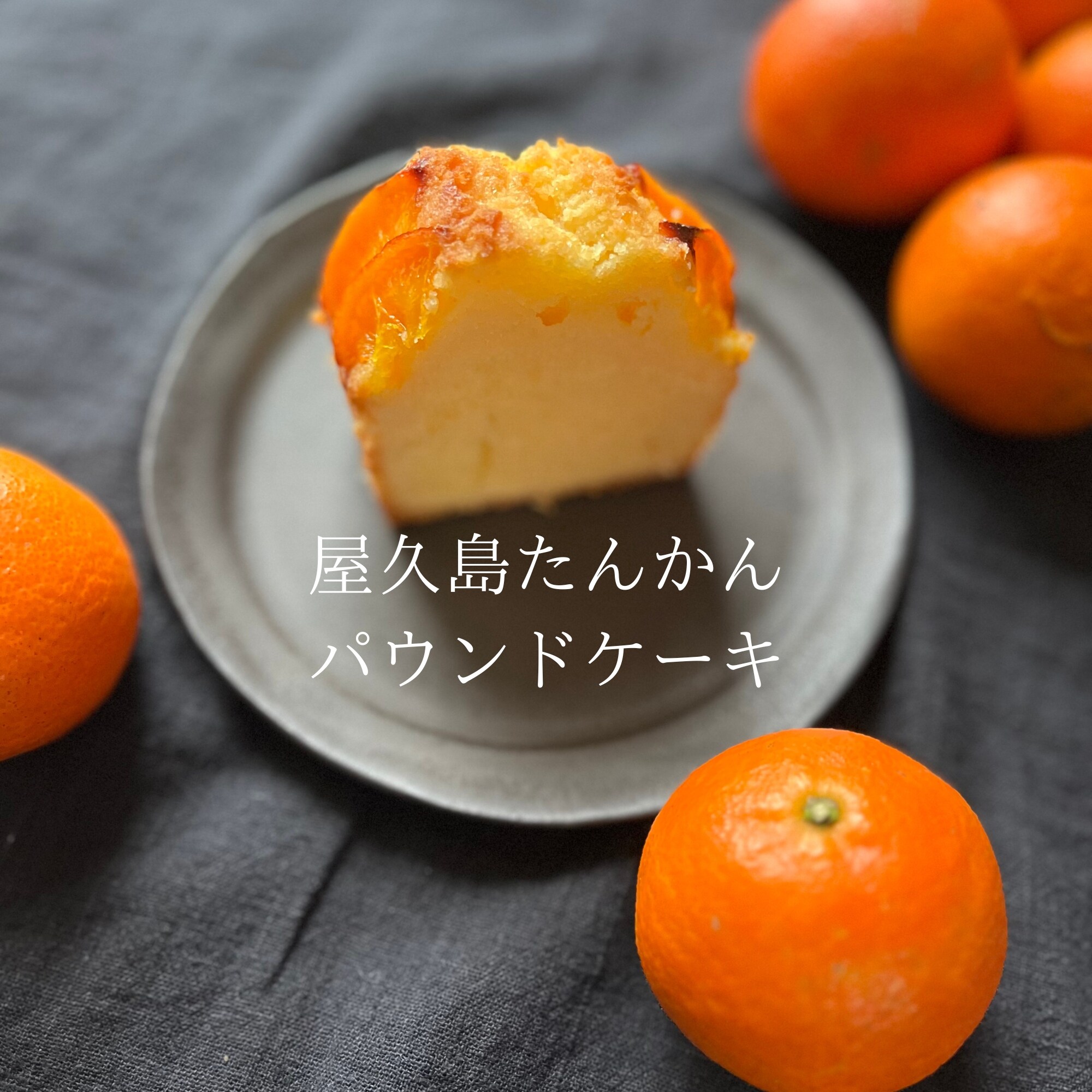 期間限定!!!屋久島たんかんのパウンドケーキ