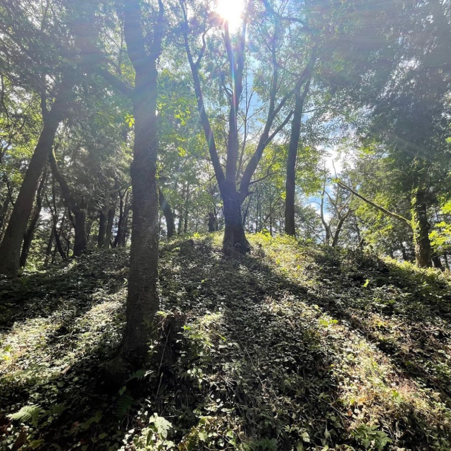 【魂参加チケットBコース】皆神山(7月5日)