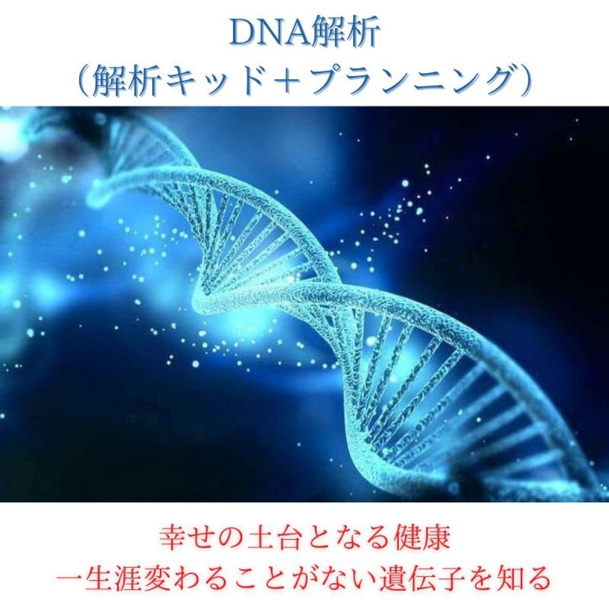 St FlairDNA栄養学DNA解析キッド（プランニング付き）